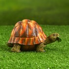Садовая фигура "Черепаха с листом" 15х10х14см - Фото 2