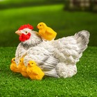 Садовая фигура "Курица белая с цыплятами" 21х16х14см - Фото 2
