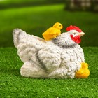 Садовая фигура "Курица белая с цыплятами" 21х16х14см - Фото 3
