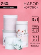Набор шляпных подарочных коробок 5 в 1 «Цветочный», 20×20×20‒14×14×14 см - Фото 1