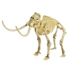 Набор для опытов «Ледниковая эпоха», мамонт, уценка - Фото 3