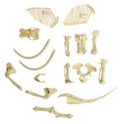 Набор для опытов «Ледниковая эпоха», мамонт, уценка - Фото 4