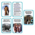 Набор для опытов «Ледниковая эпоха», мамонт, уценка - Фото 6