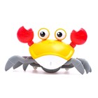 УЦЕНКА Каталка музыкальная «Краб», световые и звуковые эффекты, МИКС - Фото 2