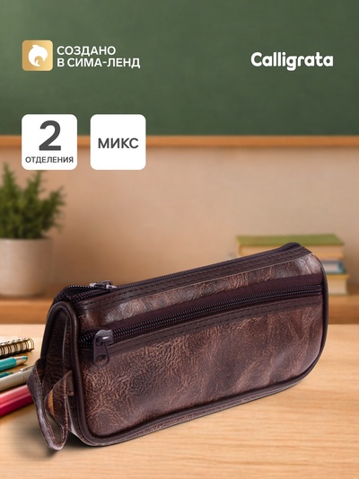 Пенал школьный на молнии Calligrata, 2 отделения, искусственная кожа, МИКС