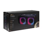 Портативная колонка Ritmix SP-910B, 75 Вт, 3600 мАч, BT, AUX, USB, FM, microSD, подсветка 9569689 - фото 14172881