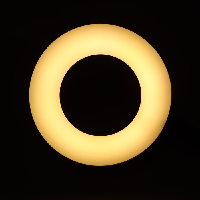 Кольцевая лампа Ritmix RRL-091, 9см, USB, 3 цвета, 24 светодиода, прищепка, пульт, держатель - фото 1907684398
