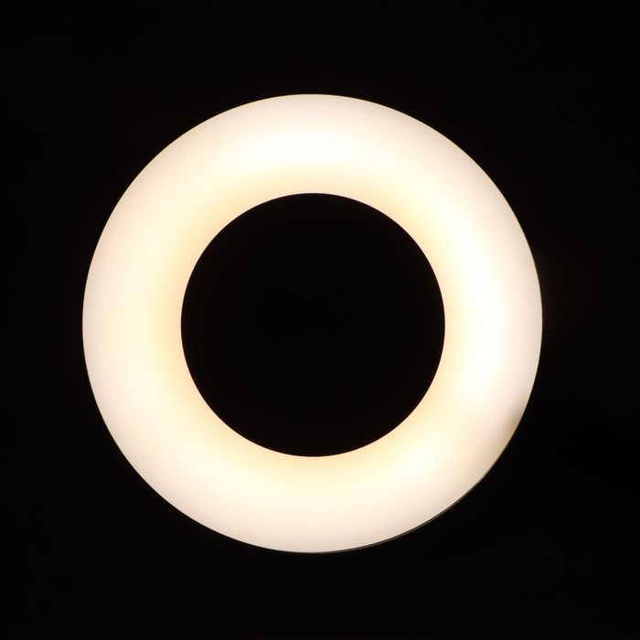 Кольцевая лампа Ritmix RRL-091, 9см, USB, 3 цвета, 24 светодиода, прищепка, пульт, держатель - фото 1907684399