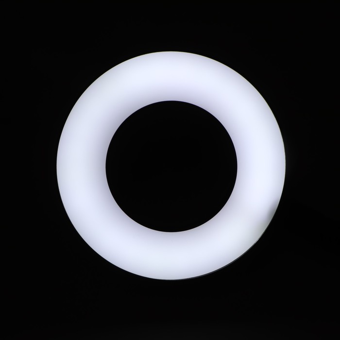 Кольцевая лампа Ritmix RRL-091, 9см, USB, 3 цвета, 24 светодиода, прищепка, пульт, держатель - фото 1888566047
