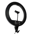 Кольцевая лампа Ritmix RRL-360, 36 см, USB, 3 цвета, 192 светодиода, пульт, держатель 9569693 - фото 319736661