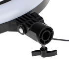 Кольцевая лампа Ritmix RRL-360, 36 см, USB, 3 цвета, 192 светодиода, пульт, держатель 9569693 - фото 319736662