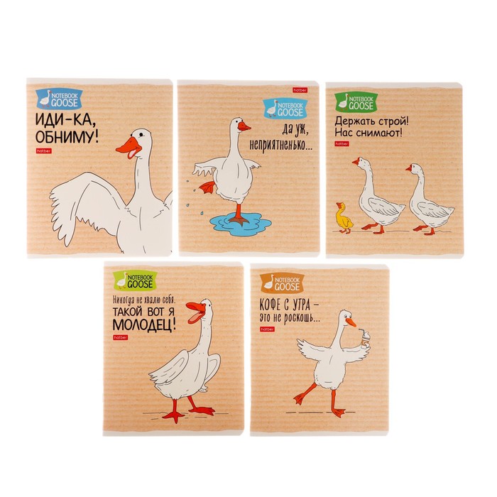 Тетрадь 48 листов в клетку «Гусь-веселюсь №2», обложка мелованный картон, МИКС - Фото 1