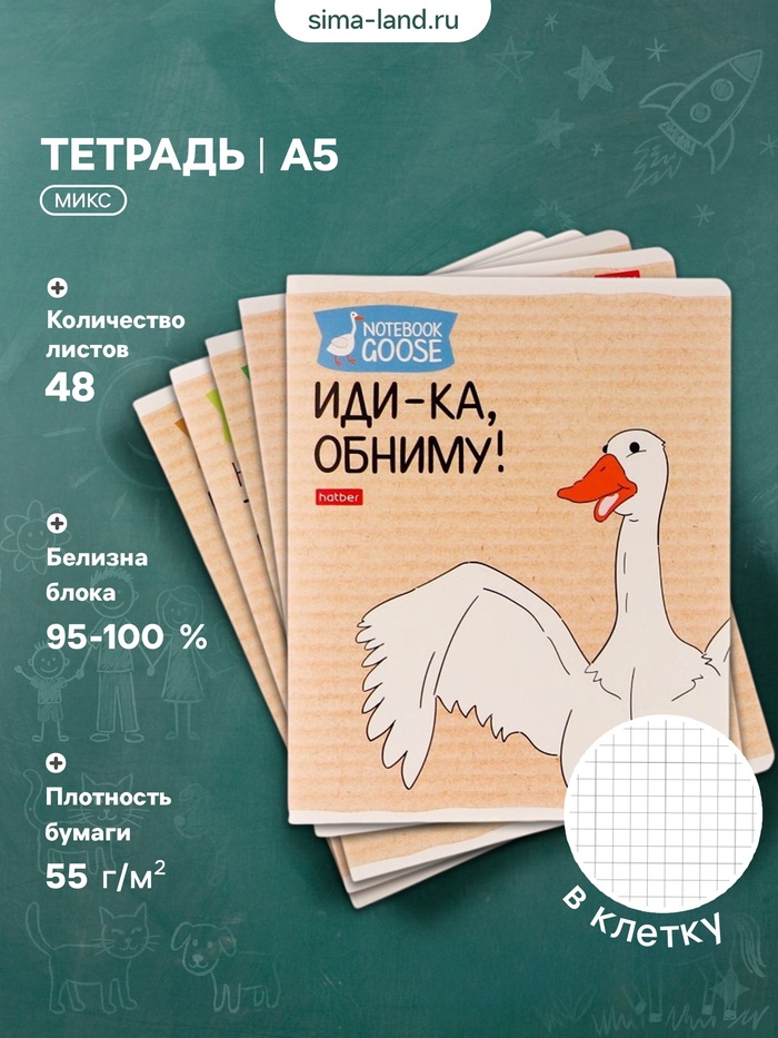 Тетрадь 48 листов в клетку «Гусь-веселюсь №2», обложка мелованный картон, МИКС - Фото 1