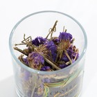 Диффузор ароматический для дома сухоцветы с аромамаслом «Окунись в магию аромата», мята, 9,5 х 8 х 9,3 см.