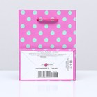 Пакет подарочный «Горох на розовом», 11.5×14.5×6.5 см 9592298