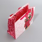 Пакет подарочный ламинированный двухсторонний, упаковка, «Стиль», ML 23 х 27 х 11,5 см - Фото 4
