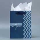 Пакет подарочный ламинированный с тишью, упаковка, «Только для тебя», MS 18 х 23 х 10 см - фото 319380990