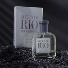 Туалетная вода мужская ACQUA DI RIO, 100 мл 9548977 - фото 10393945