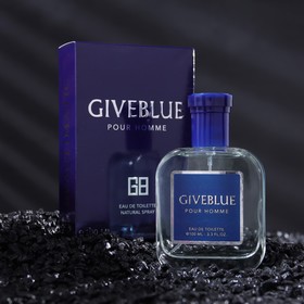 Туалетная вода мужская GIVEBLUE, 100 мл 9548980