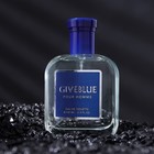 Туалетная вода мужская GIVEBLUE, 100 мл - фото 32192734