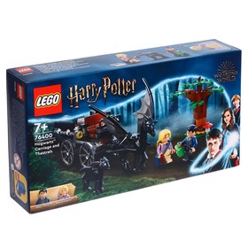 Конструктор «Карета Хогвартс и Фестралы», LEGO Harry Potter 9568541