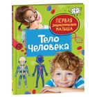 Первая энциклопедия малыша. Тело человека 9570268 - фото 10394141