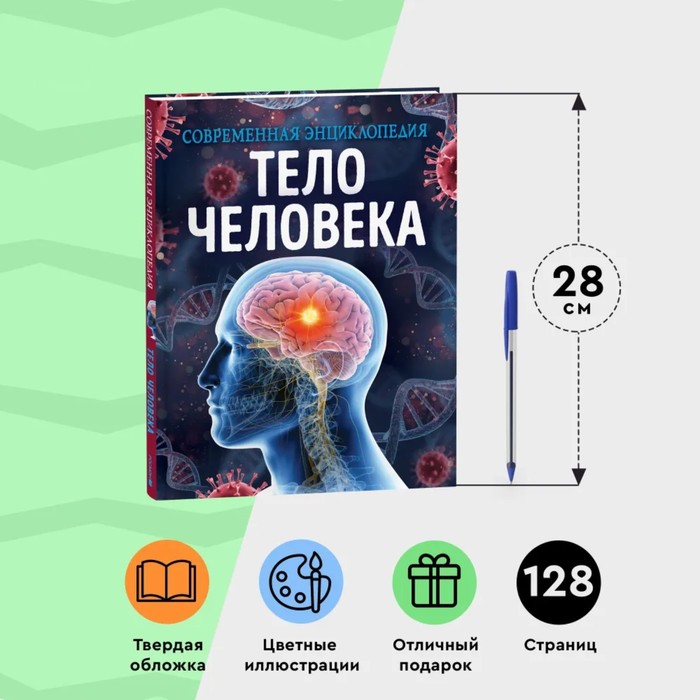 Современная энциклопедия. Тело человека 9570269