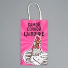 Пакет подарочный крафтовый, упаковка, «Цыпочка», 12 х 21 х 9 см 9304745 - фото 13550637