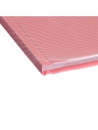 Дневник школьный для 5-11 классов, «Модная девушка», твёрдая обложка 7БЦ, матовая ламинация, 48 листов - Фото 5