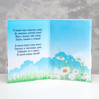 Папка с двумя файлами А4 на выпускной «До свидания, детский сад!»