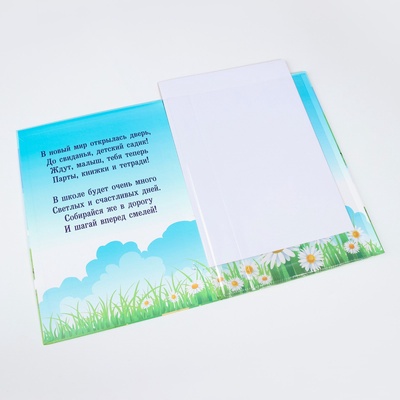 Папка с двумя файлами А4 на выпускной «До свидания, детский сад!»