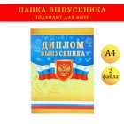 Папка с двумя файлами А4 "Диплом выпускника" герб и триколор на золотом фоне - фото 319382847