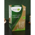 Набор для специй из стекла на бамбуковой подставке BellaTenero «Эко», 100 мл, 16 шт. - Фото 5