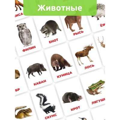 Головоломка «Развивающие карточки. Лесные животные»