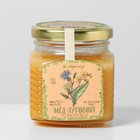 Мёд луговой (разнотравье, цветочный), 300 г - фото 10400717