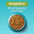 Сухой корм ONE для домашних кошек, индейка с цельными злаками 200 г - Фото 4