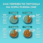 Сухой корм ONE для домашних кошек, индейка с цельными злаками 200 г - Фото 7