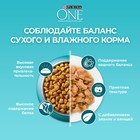 Сухой корм ONE для домашних кошек, индейка с цельными злаками 200 г - Фото 8