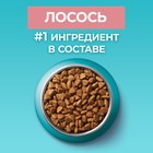 Сухой корм Purina one для стерилизованных кошек, лосось/пшеница, 200 г - Фото 5