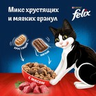 Сухой корм Felix "Двойная вкуснятина" для кошек, мясо, 1.3 кг - фото 9816903