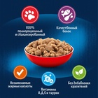 Сухой корм Felix «Двойная вкуснятина» для кошек, мясо, 1.3 кг - Фото 3