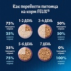 Сухой корм Felix «Двойная вкуснятина» для кошек, мясо, 1.3 кг - Фото 8