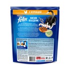 Сухой корм FELIX "Мясное объедение" для кошек, курица, 600 г - Фото 3