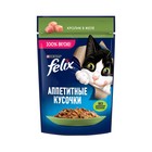 Влажный корм Felix Аппетитные кусочки для кошек, кролик в желе 75 г - фото 300953607
