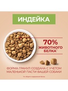 Сухой корм Purina One mini «Здоровый вес» для мелких пород, индейка/рис, 1.5 кг - Фото 5