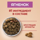 Сухой корм Purina One medium/maxi для взрослых собак ягненок/рис, 10 кг - Фото 4