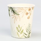 Стакан одноразовый бумажный «Природа», 250 мл, набор 6 шт. - фото 24985575 Стакан одноразовый бумажный «Природа», 250 мл, набор 6 шт. - фото 24985575