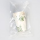 Стакан одноразовый бумажный «Природа», 250 мл, набор 6 шт. - фото 24994520 Стакан одноразовый бумажный «Природа», 250 мл, набор 6 шт. - фото 24994520