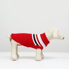 Свитер «Полоски», XS (ДС 17, ОШ 17, ОГ 23-37 см), красный - Фото 3