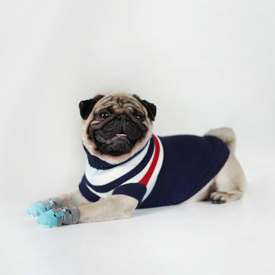 Свитер «Полоски», S (ДС 23, ОШ 23, ОГ 26-45 см), синий